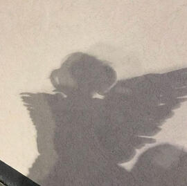 Shadow